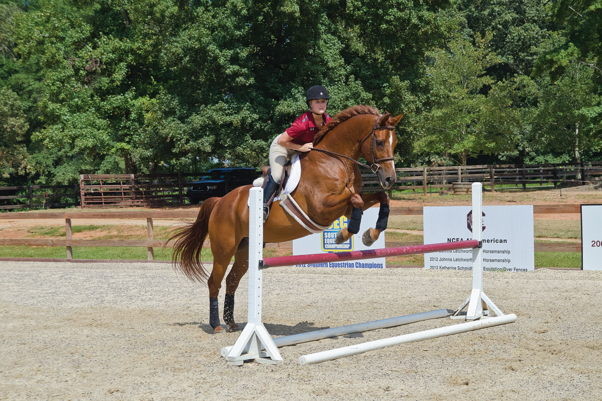 15 Riding Exercises to Correct Common Leg, Seat and Hand Problems
