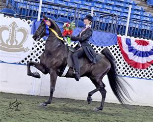 Macey Miles and Harlem’s Wild and Wonderful Earn Triple Crown of Saddle Seat Equitation after Claiming the 2016 USEF Saddle Seat Medal Final presented by Elisabeth M. Goth