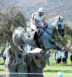 Postcard from Rolex 2004: Cross-Country