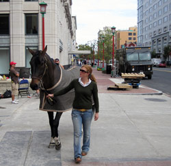 Postcard: 2009 Washington International Horse Show