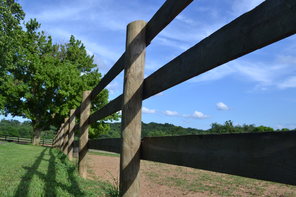 A Fresh Look at Horse Fencing