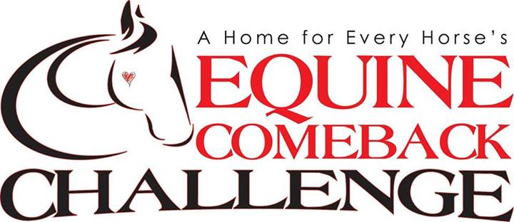 A Home for Every Horse Introduces the Equine Comeback Challenge