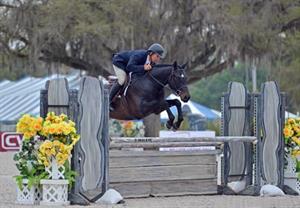 Hunters Go Big in the Final Week of the Ocala Winter Circuit