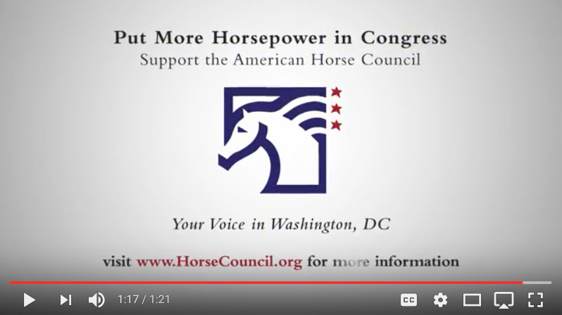 American Horse Council Celebrates National Day of the Horse
