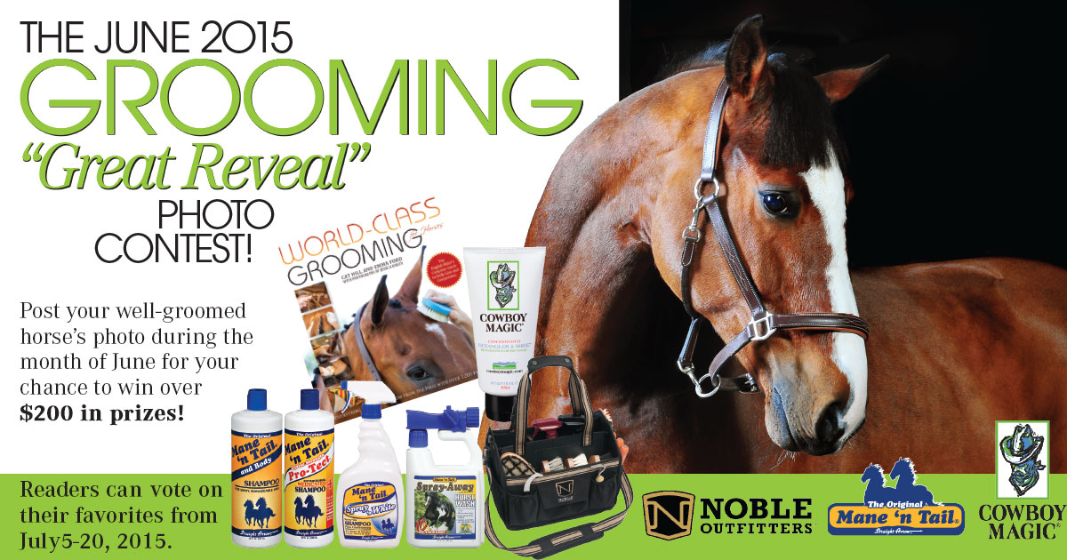 Announcing The EQUUS Magazine 2015 Grooming “Great Reveal” Photo Contest