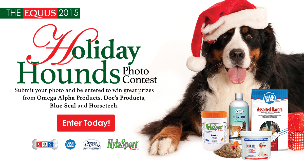 Announcing The EQUUS Magazine 2015 Holiday Hounds Photo Contest