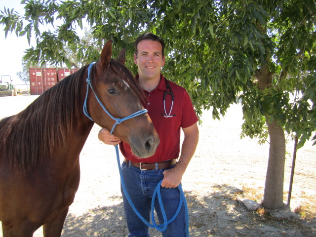 Are You Prepared? EquiSearch and Zoetis Offer FREE Equine First Aid Webinar