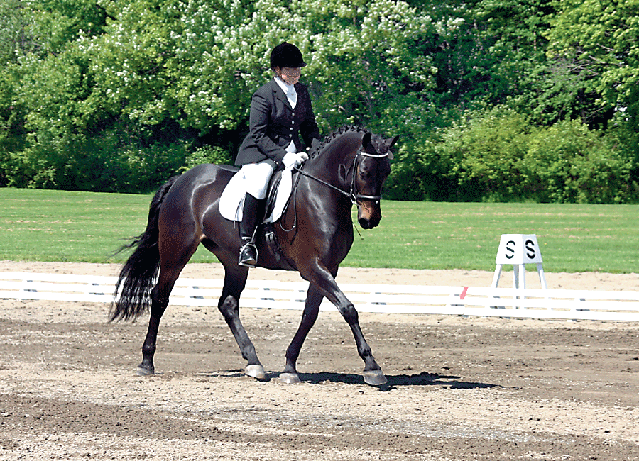 Ask Horse Journal Dressage Patterns for Fun