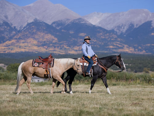 Ask Julie Goodnight: Your New Trail Horse
