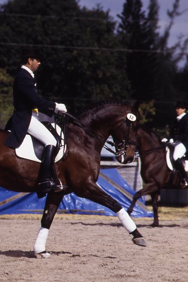 Ask the Experts: Riding Accurate Dressage Movements