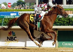 Funny Cide Coming to Kentucky Horse Park