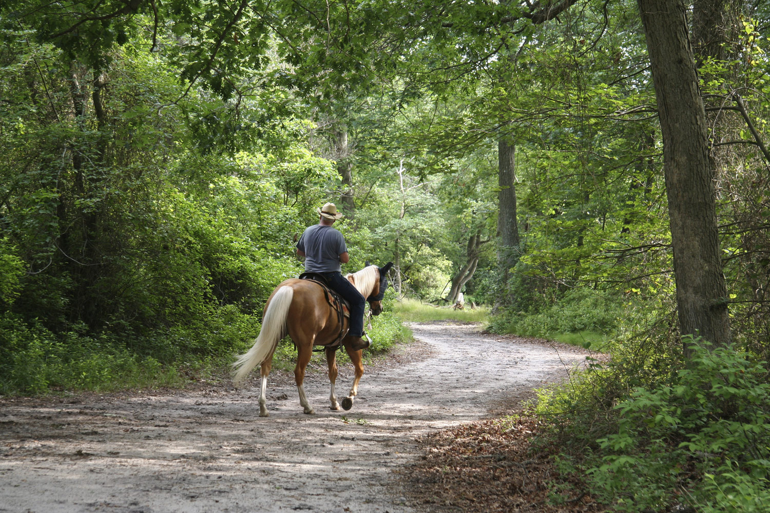 Basic Equestrian Trail Riding Etiquette
