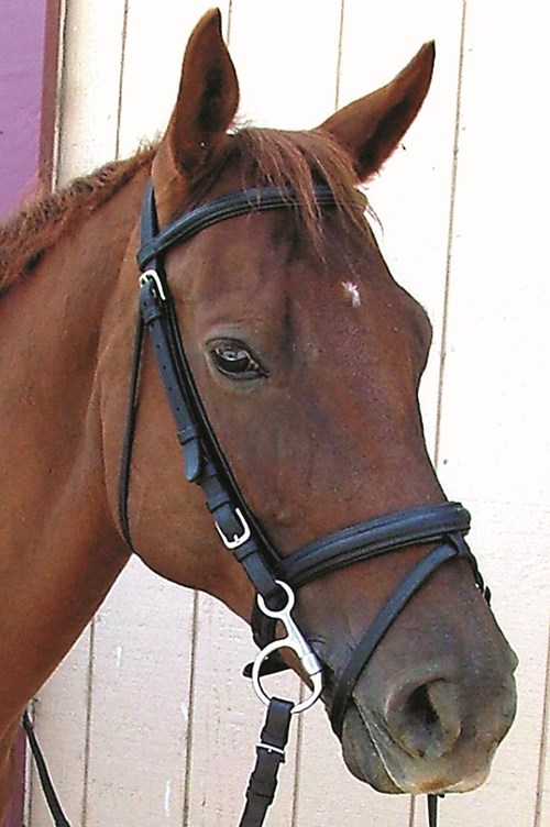 The Baucher Snaffle: How Does It Work?