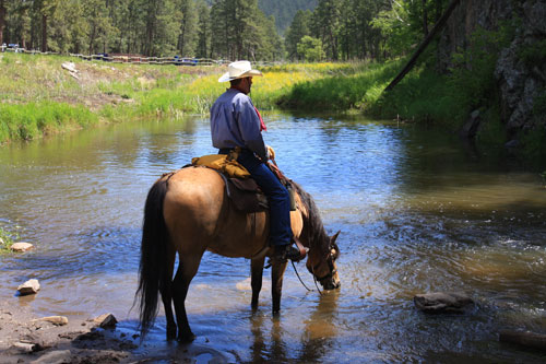 Be Water-Wise on Your Next Horse-Camping Trip