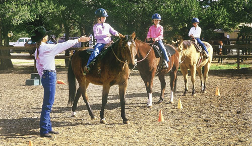 Become a Professional Riding Instructor