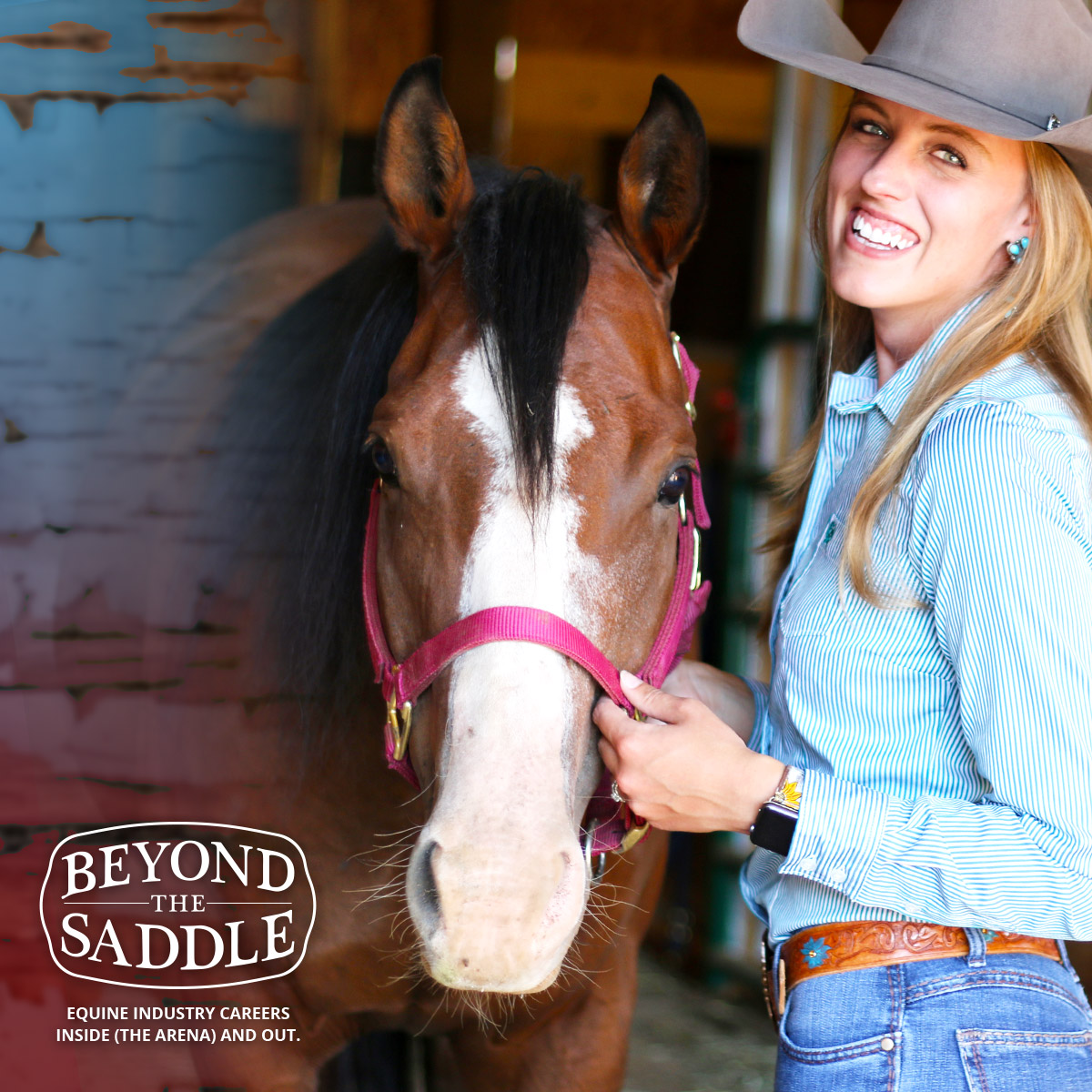 New Equine Industry Podcast Delivers the Career Insight You’ve Been Searching For