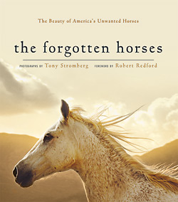 Horse Journal Book Reviews