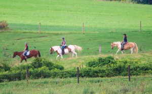 An Alternative To The Cost Of Riding Lessons