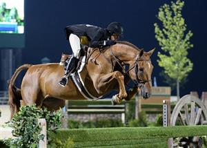 USEF Announces Nominees for 2015 USEF Horses of the Year