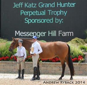 Bugsy Malone Receives Grand Hunter Champion Award at Showplace Spring Spectacular III