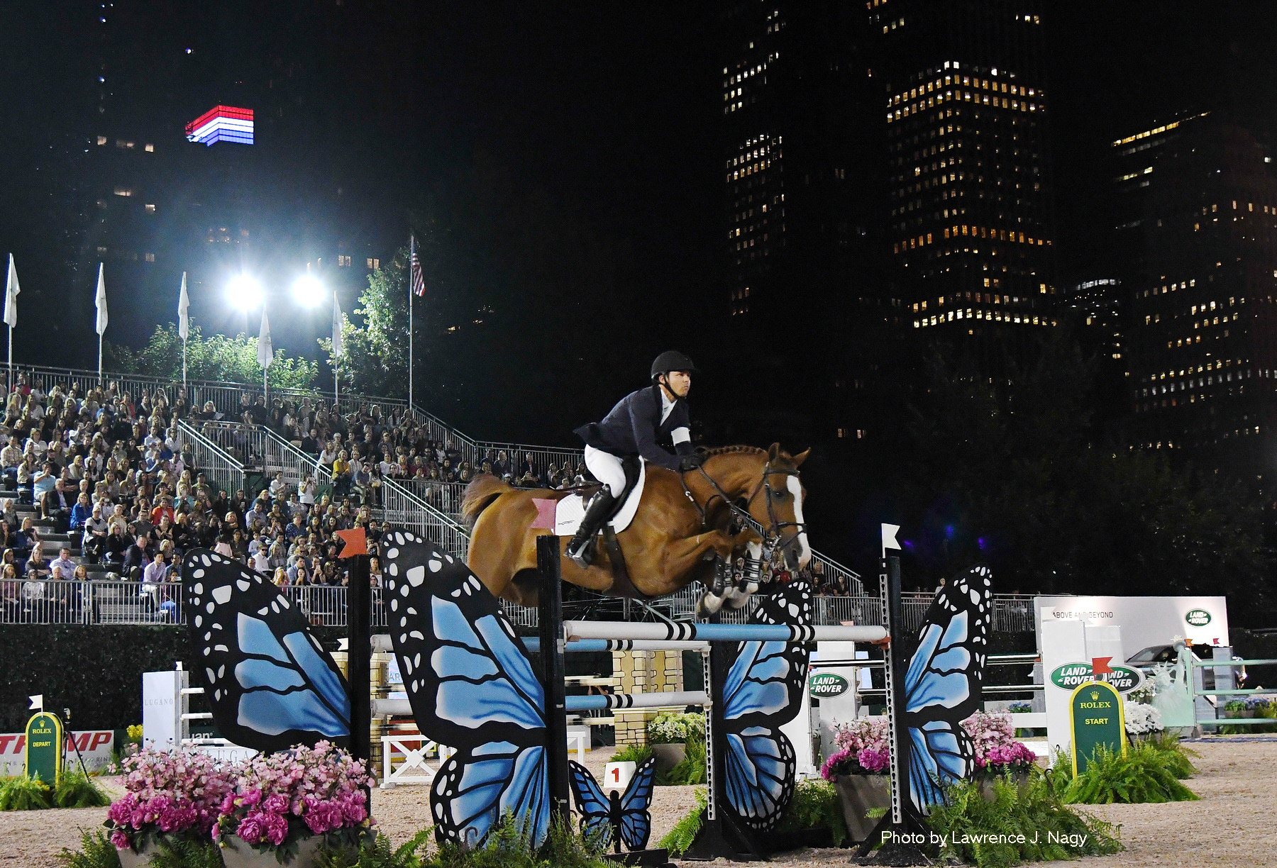 Postcard: Show Jumping at the 2017 Rolex Central Park Horse Show