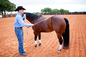 Handy Stick Tip – Downunder Horsemanship