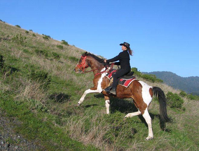 Condition Your Trail Horse