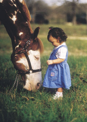 Safety Rules for Kids Around Horses