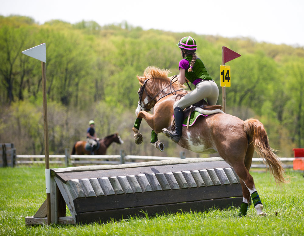 Cross Country with Jim Wofford: Horses for Courses