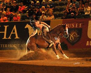 Dan James Will Defend World Championship Freestyle Reining Title