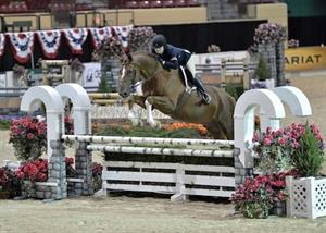 Stephanie Danhakl Sweeps Grand Amateur-Owner Champion Awards at Capital Challenge Horse Show