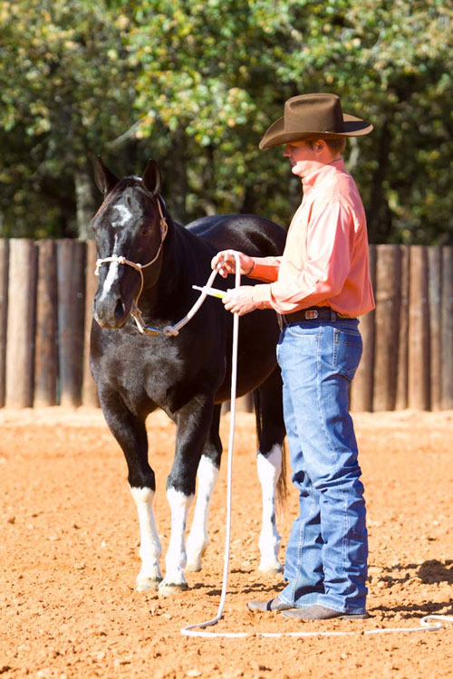 Deworm Your Horse with Clinton Anderson