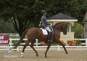 2013 Markel/USEF Young & Developing Horse Dressage National Championships, Day One