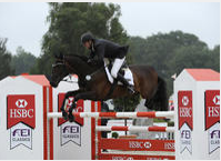 Andreas Dibowski Is Flawless At Luhm?hlen In HSBC FEI Classics?
