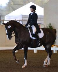 Riders Dream Big as Regional Qualifying Gets Underway for Inaugural US Dressage Finals Presented By Adequan?
