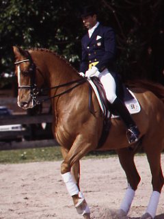 Dressage Third and Fourth Level Changes