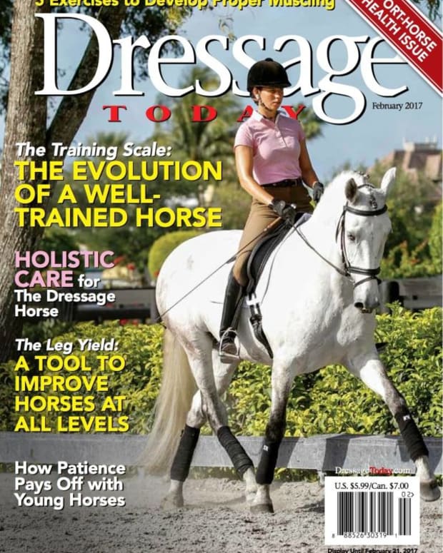 Expert advice on horse care and horse riding | EquiSearch