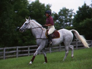 Ease the Stress of Eventing on Your Horse