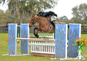 Hunters Return to HITS Ocala Horse Properties Stadium in Ocala Week VIII to Compete for the Money