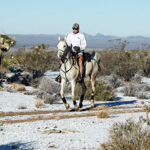 American Endurance Ride Conference Names Hall of Fame, Pard’ners Winners
