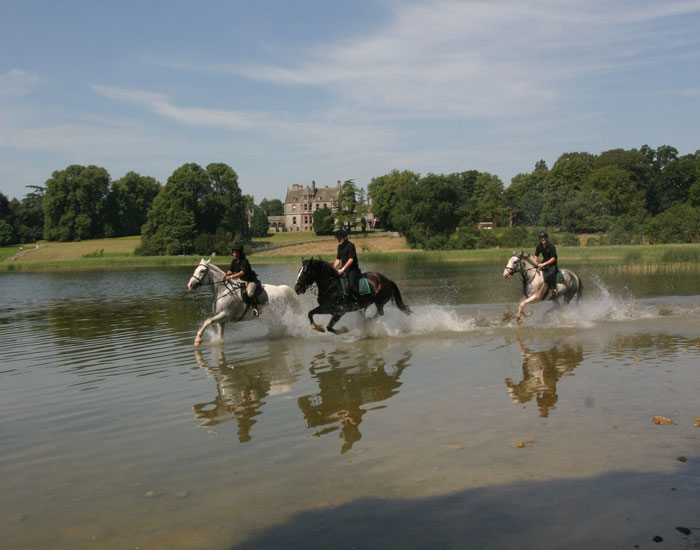 Enter for a Chance to Win an Ireland Equestrian Vacation from Practical Horseman and EQUUS