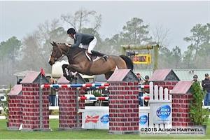 Andy Kocher & Heliante Victorious in the $35,000 Budweiser Grand Prix