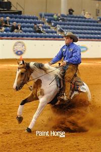 APHA Investing Big Bucks in the Paint World Show