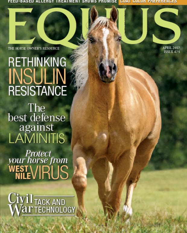 equus magazine