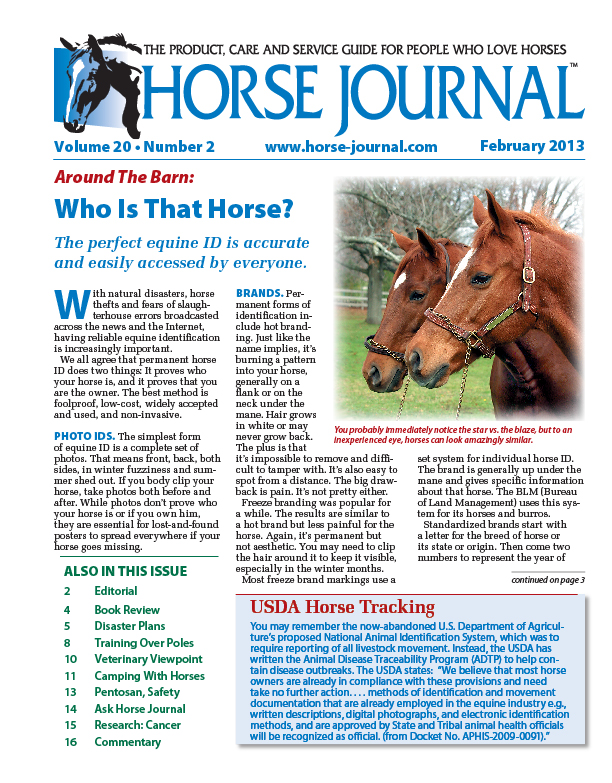 February 2013 Horse Journal
