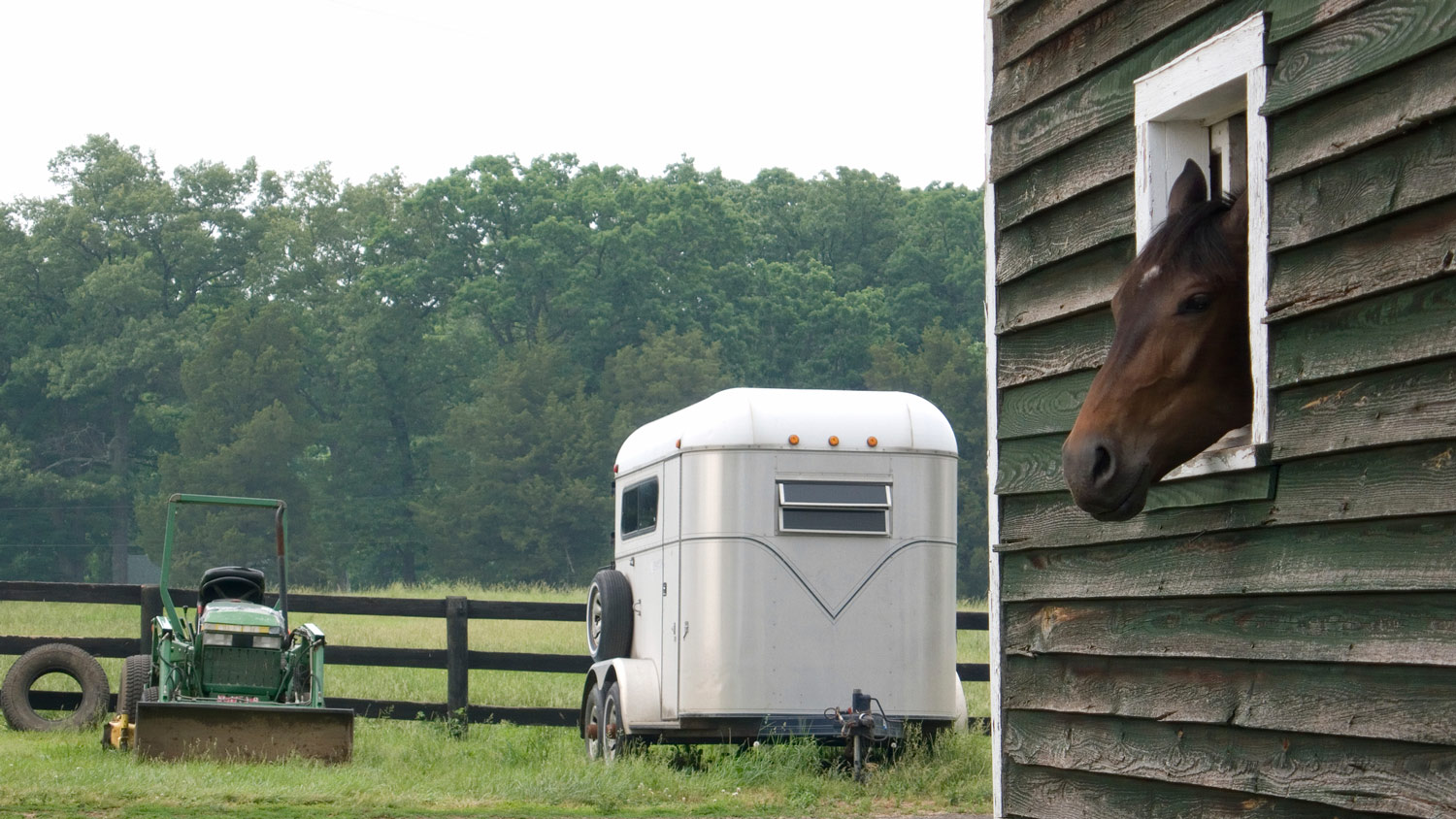 Finding the Right Trailer for Your Horse