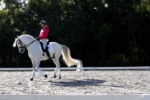 Flipbook: Prepare to Canter Pirouette on Your Dressage Horse