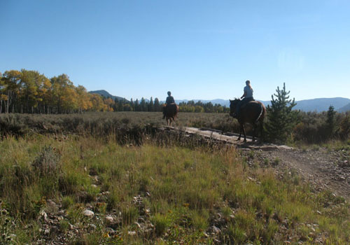 Grand Teton National Park on Horseback