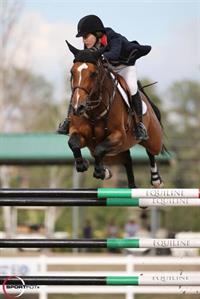 Hannah Heidegger and Ohlala Z Rise to Top of $60,000 Ariat® Grand Prix at SIR IV