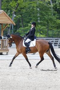 Hart Gains the Early Lead in 2014 USEF Para-Equestrian Dressage National Championship